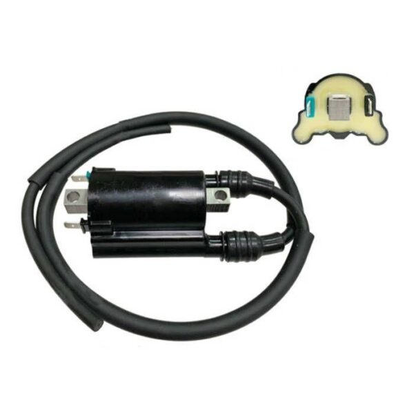 IGNITION COIL Honda TRX680FA Rincon,SXS700 Pioneer 15-18