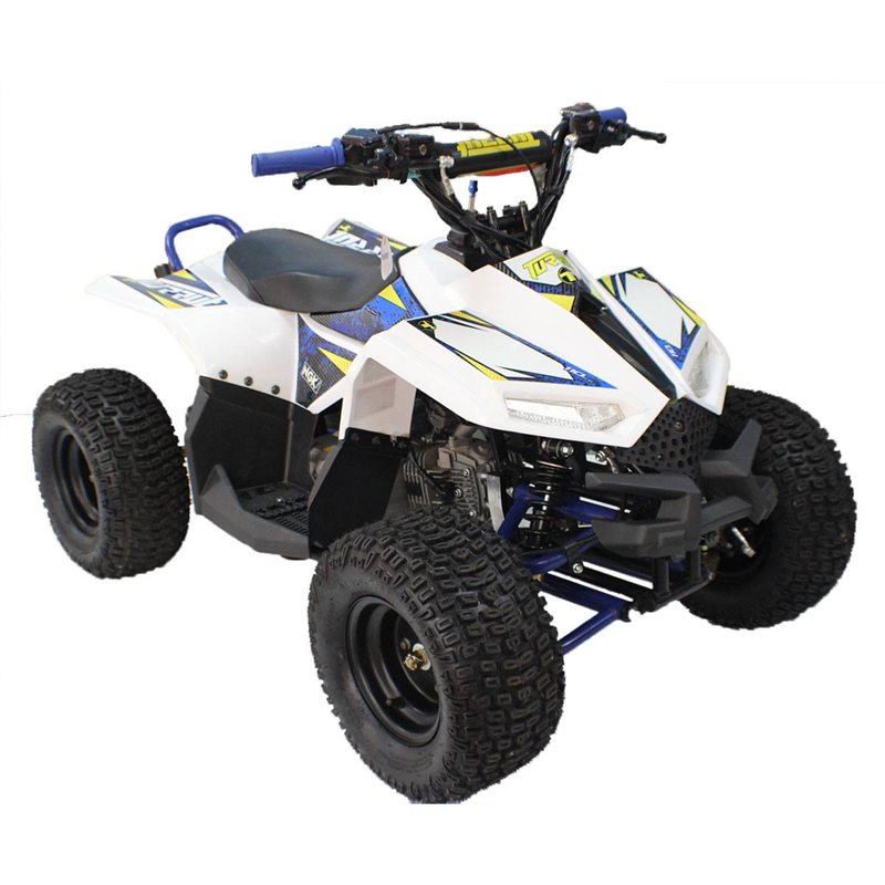 VMX 110cc Kids Quad