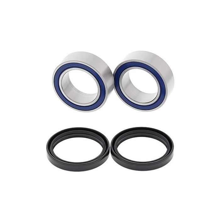 REAR CARRIER BEARING KIT, HIGH PERFORMANCE, ALLBALLS 25-1663